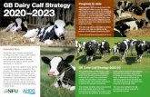 GB Dairy Calf Strategy 2020–2023 - Microsoft · 2020. 11. 11. · The dairy industry is committed to rearing all calves with care and eliminate the practice of euthanasia of calves