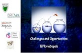 Challenges and Opportunities @FlaviaSepsis · PDF file 2019. 9. 27. · Dealing with gender unconscious bias Challenges • Peer review • Time to dedicate to research • Dealing