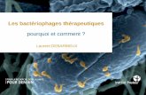 Les bactériophages thérapeutiques · 2018. 2. 5. · resistant Acinetobacter baumannii infection. Schooley RT, Biswas B, Gill JJ, Hernandez-Morales A, Lancaster J, Lessor L, ...