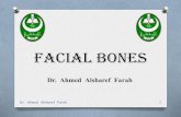 Facial Boneskarary.edu.sd/site/assets/files/22004/03_facial_bones-1.pdf · 2020. 11. 5. · Lacrimal Bones: • Posterior to the nasal bones and maxilla are the lacrimal bones, which