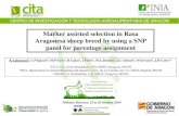 Marker assisted selection in Rasa Aragonesa sheep breed by ......Marker assisted selection in Rasa Aragonesa sheep breed by using a SNP panel for parentage assignment K Lakhssassi