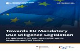 Towards EU Mandatory Due Diligence Legislation · 2020. 11. 16. · Towards EU Mandatory Due Diligence Legislation 03 Foreword Dr Gerd Müller, Federal Ministry for Economic Cooperation