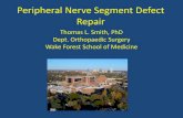Peripheral Nerve Segment Defect Repair · Peripheral nerve injury Common Injuries to Motor Nerves ... Ulnar nerve entrapment . Thoracic Outlet syndrome . Laceration, contusion . Stretch