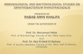 PRESENTED BY RABAB AMIN KHALIFA · RABAB AMIN KHALIFA UNDER THE SUPERVISION OF Prof. Dr. Mohamed Refai Prof. of Microbiology, Faculty of Vet. Med. Cairo Univ. and Prof. Dr. Abd El-Gelil