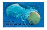 Chapter 43 THE IMMUNE SYSTEM - speedwaybiology.weebly.comspeedwaybiology.weebly.com/.../4/13248582/ap_biology_-_chapter_4… · THE IMMUNE SYSTEM Chapter 43 . What you must know: