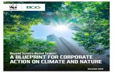 Beyond Science-Based Targets: A BLUEPRINT FOR CORPORATE … · 2020. 12. 14. · specific corporate actions are truly advancing climate goals, nature goals, both, or neither. This