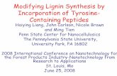 Modifying Lignin Synthesis by Incorporation of Tyrosine ... · C2 T9 T11 T4 T5 T2 T10 T3 T8 T1 T7 T6 T12 ... bm1(reduced CAD activity) Bm2 weak and inconsistent correlations between