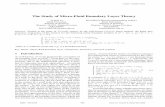 The Study of Micro-Fluid Boundary Layer Theory · 2009. 12. 7. · the boundary layer in 1904[1]. From then on, the inter-est for the theory of boundary layer has been steadily growing,