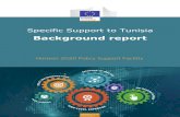 Specific Support to Tunisia - Europa · 2020. 3. 12. · Tunisia was the cradle of the Arab Spring, starting in December 2010. The so-called Arab Spring was triggered by demonstrations