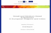 Small and Medium-Sized Enterprises in European Regions and Cities · 2019. 7. 8. · Thomas Oberholzner, Christina Enichlmair, Peter Kaufmann, Austrian Institute for SME Research