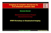 Imaging of complex structures by 3-D reflection seismic datasep · 2015. 5. 27. · Sigsbee data - Wavefield continuation 8 J. Paffenholz - SEG 2001. biondo@stanford.edu Sigsbee data