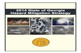 2014 State of Georgia Hazard Mitigation Strategy · 2019. 7. 11. · 1.4.2 Changes in Participant Coordination 9 1.5 PROGRAM INTEGRATION 11 1.5.1 State Planning Programs 11 1.5.2