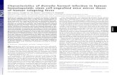 Characteristics of Borrelia hermsii infection in human of ...Dec 01, 2011  · Characteristics of Borrelia hermsii infection in human hematopoietic stem cell-engrafted mice mirror