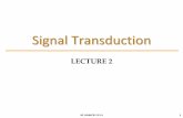 Signal Transduction Signal... · 2018. 6. 19. · Signal transduction is concerned with how external molecules (first messengers (including hormones) hydrophilic molecules) influences