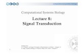 Lecture 7: Signal Transduction - The University of Edinburgh · 2010. 4. 20. · Signal Transduction • The cell senses extra cellular signals: – Hormones, pheromones, heat, cold,
