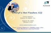 Cheryl’s Hot Flashes #22watsonwalker.s3.us-west-1.amazonaws.com/ww/wp-content/...• Creates new SMF Type 113 record with statistics. • Contact John to send him your SMF types