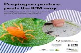 pests the IPM way Preying on pasture - Port Phillip and ......} Q R h h ~ Basic IPM pasture strategy