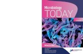 Kenneth Murphy, Washington University School of Medicine, USA … · 2020. 7. 23. · Janeway’s Immunobiology is a textbook for students studying immunology at the undergraduate,