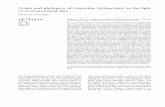Origin and phylogeny of Guyniidae (Scleractinia) in the light of …biominerals.paleo.pan.pl/staff/Stolarski/Publications/... · 2008. 3. 17. · Stolarski, J. 2000 03 15: Origin