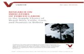RESEARCH ON INDICATORS OF FORCED LABOR - Verité...RESEARCH ON INDICATORS OF FORCED LABOR in the Supply Chains of Brazil-Nuts, Cattle, Corn, and Peanuts in Bolivia Funding for this