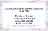 Dyal Singh College – University of Delhi, All India Rank ...dsc.du.ac.in/wp-content/uploads/2020/05/Production-of-virus-free... · cryopreservation technique is genotype specific.