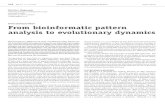 Overzichtsartikel From bioinformatic pattern analysis to …bioinformatics.bio.uu.nl/BINF/binflitt2007/littlinks/RNA... · 2003. 3. 24. · Paulien Hogeweg From bioinformatic pattern