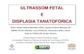 ULTRASSOM FETAL E DISPLASIA TANATOFÓRICA · 2011. 8. 31. · • Ultrassom fetal do paciente, mostrando a desproporção entre o crânio e a face – (A) o perfil da face e um corte