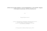 Ultrasonographic Investigation of Cleft-Type Compensatory Articulations · 2012. 11. 26. · ii Ultrasonographic Investigation of Cleft-Type Compensatory Articulations Bojana Radovanovic