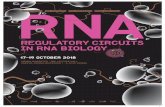RNA Biology...Bodhisattwa Banerjee Transcriptomic profiling of novel lncRNAs in specific regions of hypoxic zebrafish brain: Predictive role in neurodegenerative diseases #6 Livia