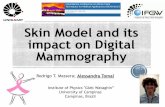 Skin Model and its impact in Digital Mammographypeople.na.infn.it/~mettivie/MCMA presentation/18 Aula... · 2018. 6. 4. · Skin Model and its impact on Digital Mammography 1 Rodrigo