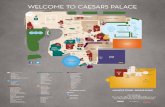 WELCOME TO CAESARS PALACE · 2019. 10. 2. · WELCOME TO CAESARS PALACE AUGUSTUS TOWER – SECOND FLOOR HOTEL AMENITIES – Bell Desk – Concierge Desk – Golf Desk – Hotel Registration