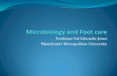 Professor Val Edwards-Jones Manchester Metropolitan …...•Bacteroides fragilis gp (10.2%) 0% 20% 40% 60% 80% 100% Venous Diabetic Pressure on Aerobes Facultative Anaerobes Strict