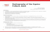 Radiography of the Equine Fetlock Joint...40 • Equine Health Update • Indications • Investigation of pain causing lameness localised to the fetlock region by clinical signs and/or