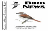 BIRD S NEWS rnithological · 2014. 10. 29. · NEWS Heswall Shore Ł Barred Warbler Dee Estuary Voluntary Wardens BTO Winter Farmland Bird Survey C Migration Watch ’99 Results heshire