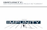 AN UNCHANGING RULE IN TURKEY · 2020. 6. 18. · IMPUNITY AN UNCHANGING RULE IN TURKEY 2 INTRODUCTION According to Black’s Law Dictionary, impunity is the exemption, or protection
