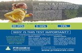 BRCA1 & BRCA2 mutations account forBRCA 1 & 2 TESTING WHY IS THIS TEST IMPORTANT? Specific inherited mutations in BRCA1 and BRCA2 increase the risk of female breast and ovarian cancers,