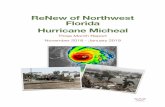 ReNew of Northwest Florida Hurricane Micheal · 2019. 2. 23. · Hurricane Michael Three Month Report On October 10, 2018, Hurricane Michael made landfall in Bay County, Florida,