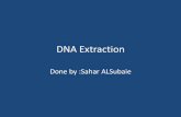 DNA ExtractionB-spin column based DNA extraction steps Cell lysis :breaking the cells and to expose the DNA within. DNA binds to the silica membrane in presence of ethanol or isopropanol