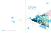 中兴通讯ZTE SDN/NFV虚拟化网站官网 助力数字化转型 - 5G Voice · 2020. 8. 3. · 3.7 5G Signaling Network Construction 3.8 5G Voice Roaming Maturity Analysis 4 22Evolution