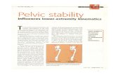 Pelvic Stability Article - Postural Restoration Institute · 2013. 7. 3. · genu valgus, genu recurvatum, subtalar ever- sion, and forefoot or rearfoot pronation ... popliteus and