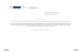 COM 826 1 EN ACT part1 v1 · 2020. 12. 10. · EN EN . EUROPEAN COMMISSION Brussels, 10.12.2020 COM(2020) 826 final 2020/0362 (COD) Proposal for a REGULATION OF THE EUROPEAN PARLIAMENT