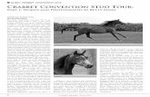 WORLD CRABBET CONVENTION 2013 WORLD CRABBET CONVENTION … · 2018. 8. 1. · 44 crabbet Journal • Winter 2013 Crabbet Convention Stud Tour: Part 1: Words and Photographs by Betty