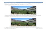 GUIDE TO MATTE PAINTING exer/matte/Guide to Basic Matte...As you can see the compositions length is set to 15 seconds, and the composition size, is set to the same as one of the images.