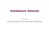 PetaShare Tutorial - Interdisciplinary | Innovativesreekanth/petashare/tutorial/...File2 file2 File3 file3 Get file3 File3 Get file1 File1 Get file2 File2 How to Access PetaShare Resources