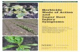 Herbicide Mode of Action and Sugar Beet Injury Symptomsthe herbicide will contact plants and the portion of the plant contacted. Herbicide mode of action refers to how herbicides work