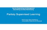 Partialy Supervised Learning - pub.rocursuri.cs.pub.ro/~radulescu/dmdw/dmdw-nou/DMDW8.pdfThis prevents the degradation of B performances due to the noise.) 4. All examples in U passing