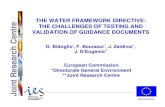 THE WATER FRAMEWORK DIRECTIVE: THE ......G. Bidoglio*, F. Bouraoui*, J. Zaldivar*, J. D’Eugenio** DG Environment European Commission *Directorate General Environment **Joint Research