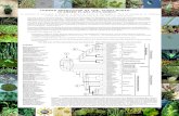 TOWARD RESOLUTION OF THE “FUZZY NODES” IN GREEN PLANT … · 2005. 4. 7. · Takakia ceratophylla 21 Physcomitrella patens Andreaea sp. Tortula ruralis 2 Selaginella kraussiana