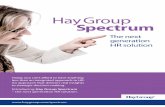 Hay Group Spectrum - Talenger · 2015. 6. 19. · work by only applying job evaluation to reward. We knew there was a better way. So we’ve created Hay Group Spectrum – a unique