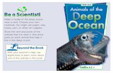 FOCUS Book Animals of the Deep Oceansamsonsschoolysite.weebly.com/uploads/1/1/1/3/...deep ocean is cold and _____. 2 Name two deep ocean animals that glow. 3 Name two special body